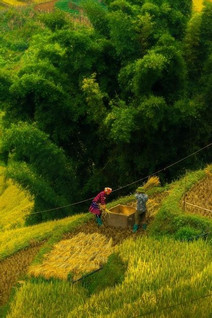 La minoría étnica hmong en mu cang chai yen bai mu cang chai es un