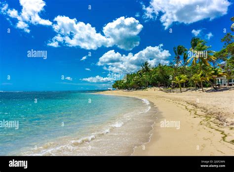 Playa Dorada In Puerto Plata Dominican Republic Beautiful Tropical