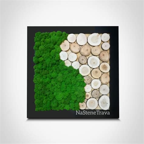 Moss World Map Wooden Wall Map World Map Office Wall Decor Moss Wall