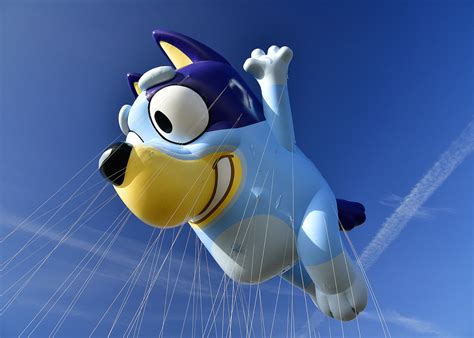 Parent Review Bluey A Better Way To Disney Junior