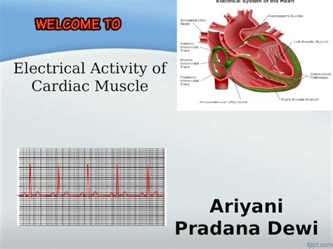 (PPT) Conducting System - DOKUMEN.TIPS