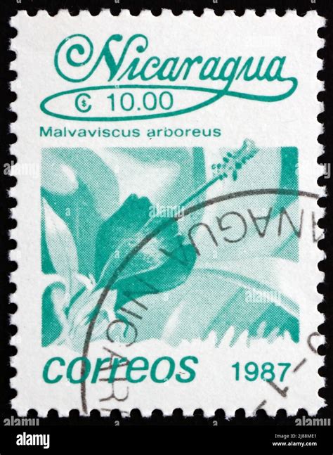 Nicaragua Circa A Stamp Printed In Nicaragua Shows Turkcap