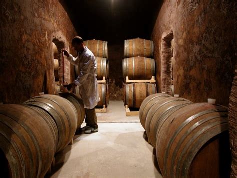 La terra del vino - Viaggio nel Monte Regale