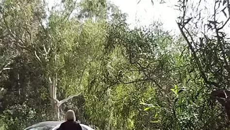 Fuck Bois De Boulogne Free Shemale Anal Porn Video 44 XHamster