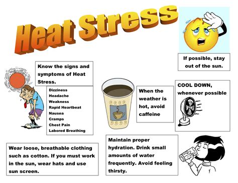 Heat Stress Poster Osha Safety Manuals