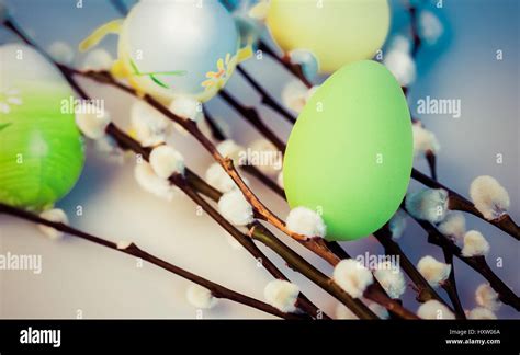 Pussy Willow And Easter Eggs Stock Photo Alamy