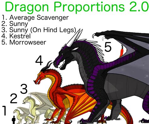 Image Dragonproportions2png Wings Of Fire Wiki Fandom Powered By