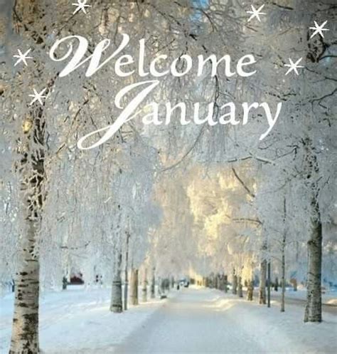 Welcome January Pictures Photos And Images For Facebook Tumblr