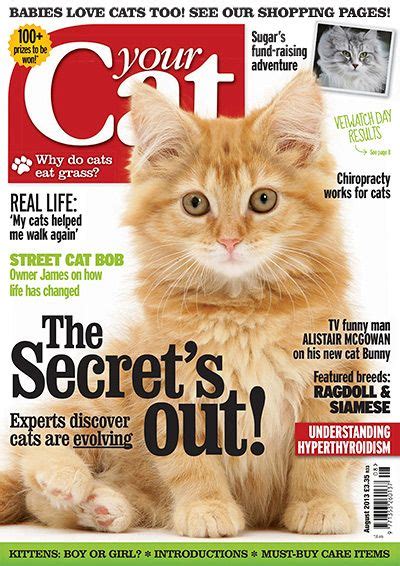39 Cat Magazine Ideas Cat Magazine Cats Magazine
