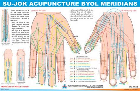 Acupressure Products In India Acupressure Natural Care System