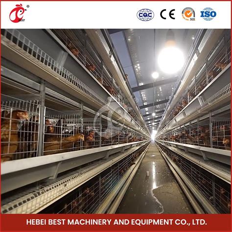 Bestchickencage H Frame Broiler Cages China Indoor Chicken Cages