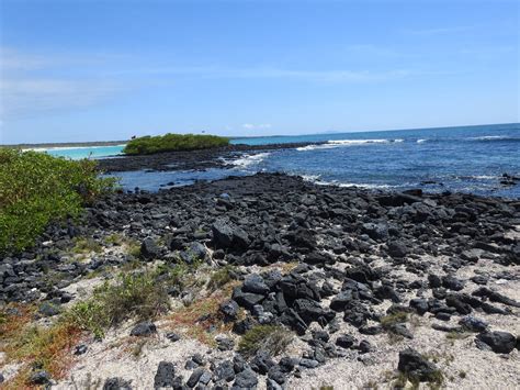 Galapagos Budget Tour - Ecuador Eco Adventure - Galapagos Adventure