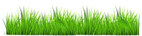 Grass Images Clipart 10 Free Cliparts Download Images On Clipground 2025