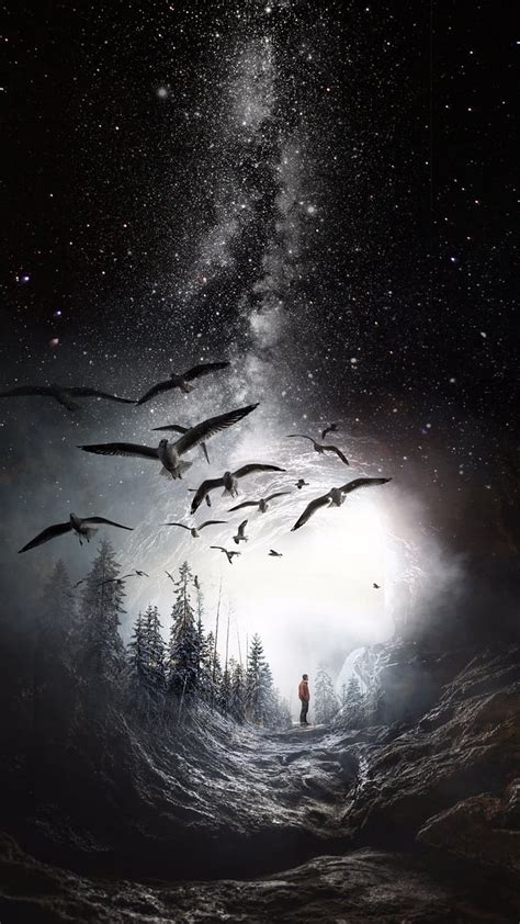 Best Walpaper, art, artwork, bird, artificial, stars, original, phone, wall, HD phone wallpaper ...