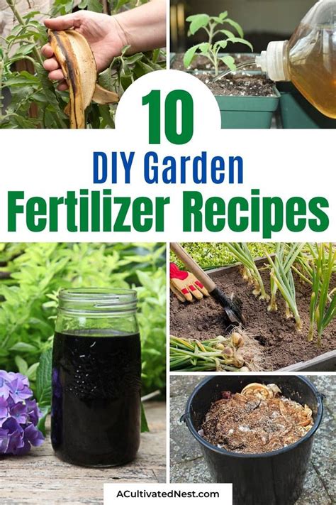 10 Best Homemade Plant Fertilizers A Cultivated Nest Homemade Plant Fertilizer Fertilizer