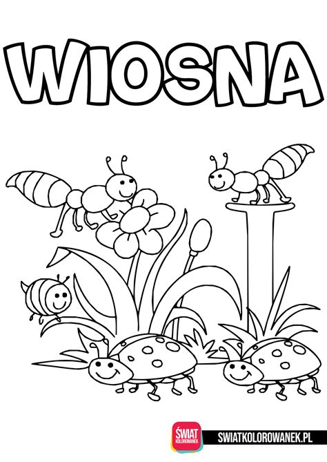 wiosna kolorowanki darmowe kolorowanki  druku