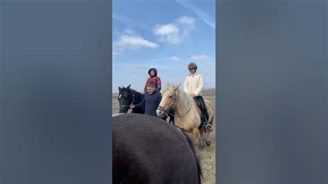 Конные в прогулки Волгоград/Волжский в конном клубе «Карсар» - YouTube