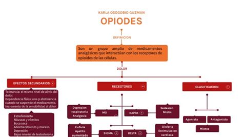 Mapa Conceptual Opiodes