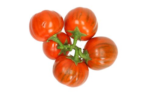 "Solanum Aethiopicum" Images – Browse 218 Stock Photos, Vectors, and ...