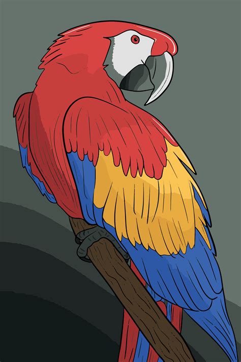 Dibujo De Una Guacamaya Dibujo De Guacamaya Para Colorear Imagui