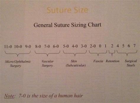 General Suture Size Guide