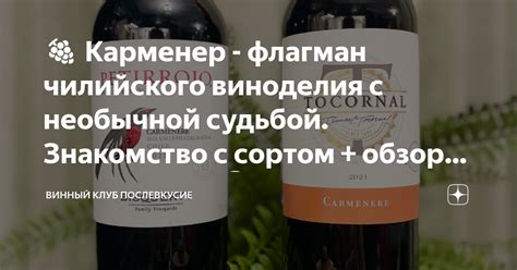 🍇 Карменер - флагман чилийского виноделия с необычной судьбой ...