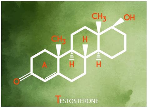 Premium Vector Testosterone Formula Vector Thin Line Icon Of