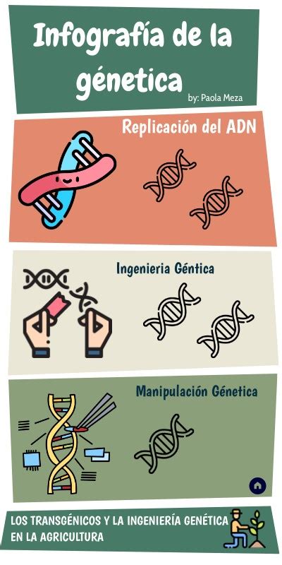 infografía de la génetica