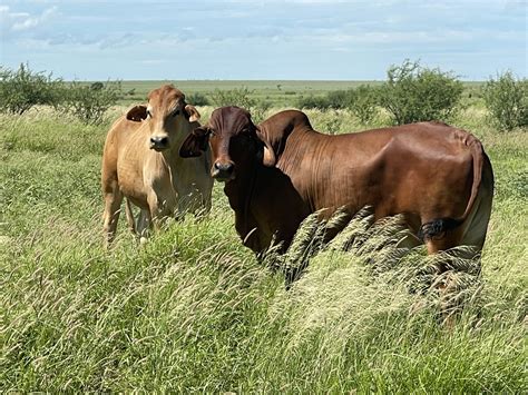 Rural Property Sales Boom in Lincolnshire Reports Purplebricks 3