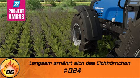 Ls Amras Langsam Ern Hrt Sich Das Eichh Rnchen Farming