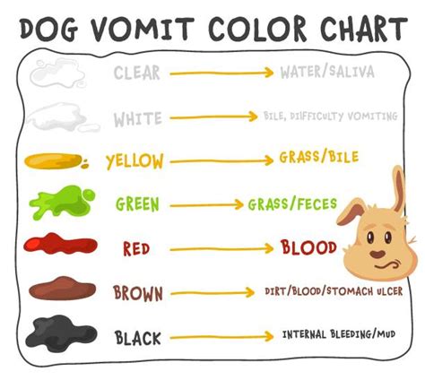 Human Fecal Vomiting