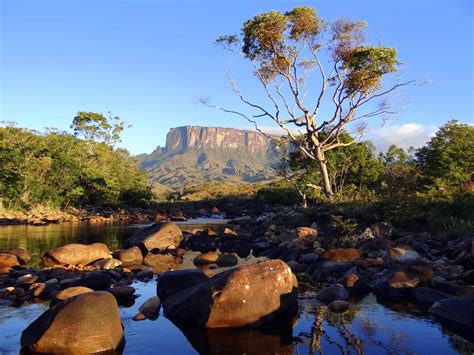 Ponto Turistico De Roraima - Parque Nacional do Monte Roraima Guia de Viagem & Dicas de Viagens ...