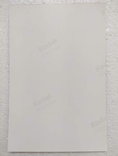 Sexy Blonde Model Female Woman Big Butt Busty Bikini Photo Photograph CLM 010 EBay