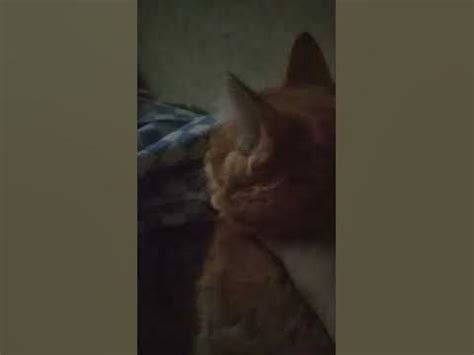 бля часть 1 - YouTube