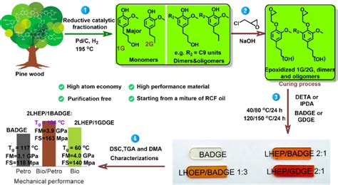 Overview Of The Synthesis Of High Performance Bio Based Epoxy Resins