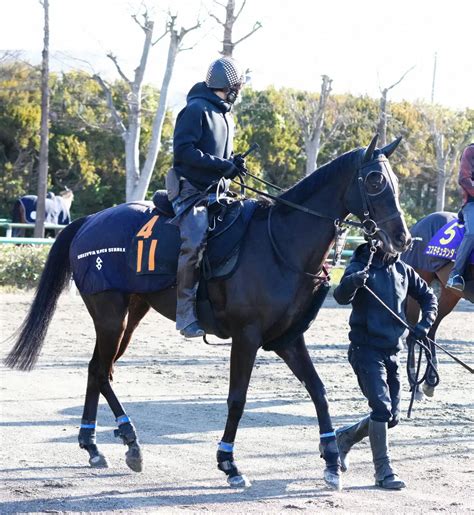 【フローラs】3歳有力馬が続々勢いに乗る加藤士厩舎 クリスマスパレードで樫切符狙う スポニチ競馬web