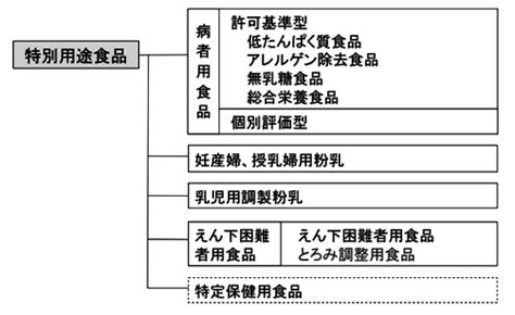 特別用途食品の具体例と特徴 Genspark