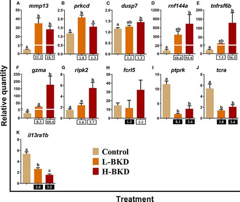 Frontiers Transcriptomic Profiling Of The Adaptive And Innate Immune Responses Of Atlantic