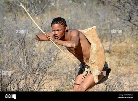 Naro San Bushman Hunting In The Bush With Traditional Bow And Arrow