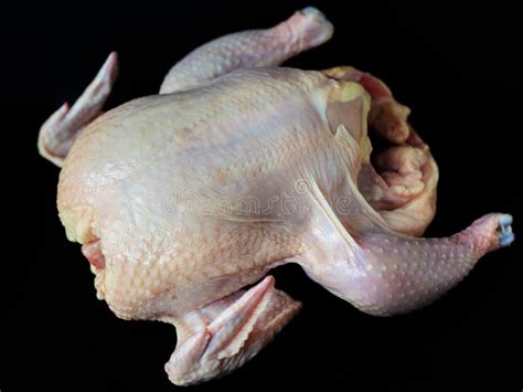 Naked Chicken Stock Photos Free Royalty Free Stock Photos From Dreamstime