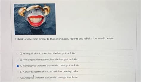Solved Use this phylogenetic tree to answer the next three | Chegg.com