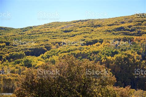 Brilliant Fall Colors Scenic Byway 12 In Utah Is One Of The Most Scenic