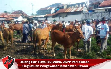 Jelang Hari Raya Idul Adha Dkpp Pamekasan Tingkatkan Pengawasan