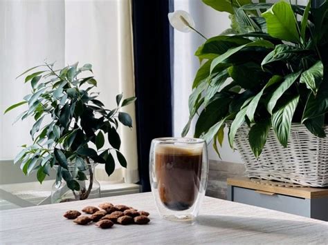 ¿cómo Preparar El Café Perfecto Somos El Café