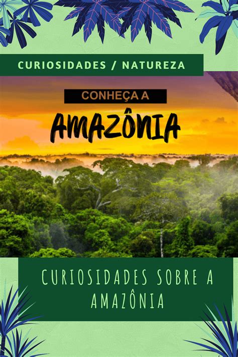 Descubra 38 Curiosidades sobre a Amazônia | Amazonas, Turismo de ...