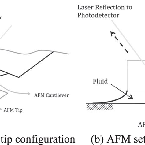 Atomic force microscope (AFM). | Download Scientific Diagram 