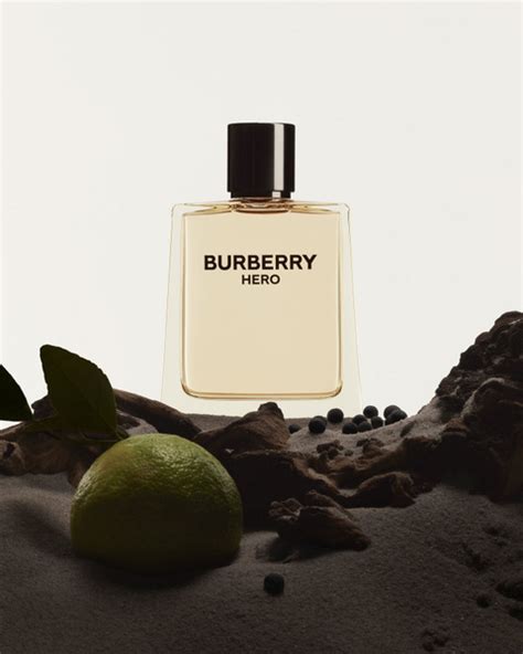 Burberry Burberry Hero Туалетная вода 100 мл (707274031)