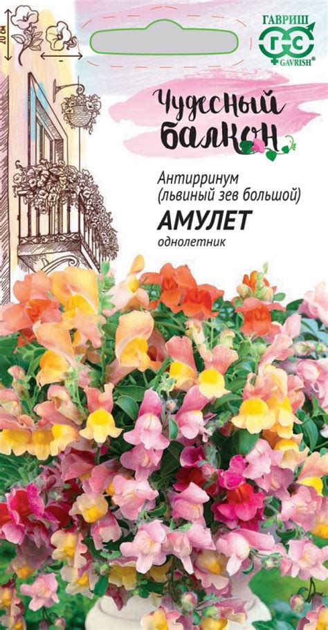 Семена Антирринум (Львиный зев) Амулет, смесь, 5шт, Гавриш, Чудесный ...