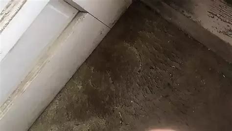 CraftyMatthew Gay Porn Videos Sex Model Nudes XHamster