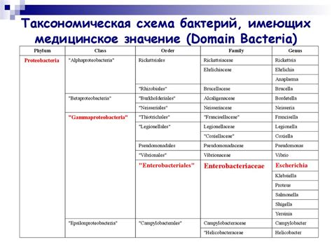 Классификация и строение микроорганизмов. Микробиология - online ...